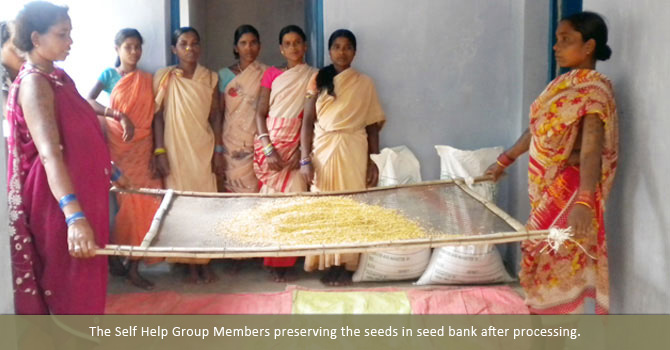 The Self Help Group Members preserving the seeds in seed bank after processing