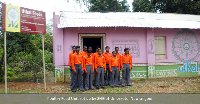 Poultry Feed Unit set up by SHG at Umerkote, Nawrangpur