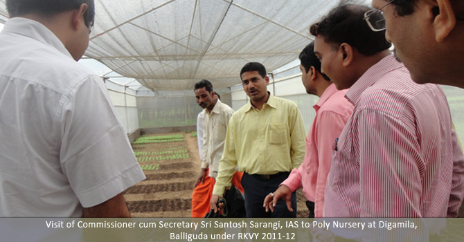 Visit of Commissioner cum Secretary Sri Santosh Sarangi,IAS to Poly Nursery at Digamila, Balliguda under RKVY 2011-12.